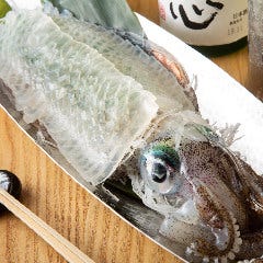 直前まで生け簀で泳ぐ「呼子産・活イカ刺身」
