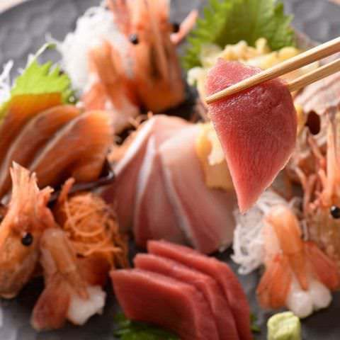 鶏 豆富 魚 ととと 札幌ステラプレイス店 札幌駅 居酒屋 ぐるなび