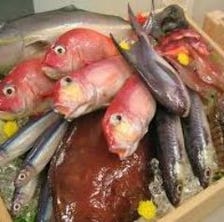 毎朝、長崎県五島列島から届く旬の魚
