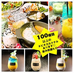人気のコースと充実の飲み放題