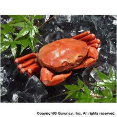 フランス料理 ビストロボンファム 自慢の食材 まるずわいがに爪下付爪リングカット ぐるなび フランス料理 ビストロボンファム 自慢の食材 まるずわいがに爪下付爪リングカット ぐるなび