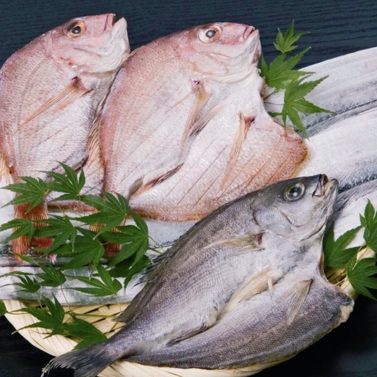 季節の食材・海鮮を使用した逸品の数々をお楽しみください♪