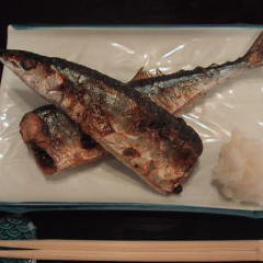 ふぐ料理・はも料理 三田　山田屋_本日の焼魚《連日売り切れ御礼》
