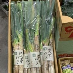 ふぐ料理・はも料理 三田　山田屋_長ネギ【長野(写真)、新潟、群馬 他】