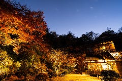 鎌倉すき焼きしゃぶしゃぶレストラン Sasho 