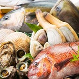 【新鮮魚介】
銚子や九十九里から毎朝直送する旬の魚介類