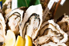 海鮮居酒屋 牡蠣家 こだはる 新橋レンガ通り店