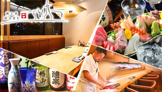 酒と魚 Haru 久屋大通店 栄周辺 居酒屋 ぐるなび
