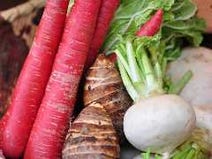 ［京都駅 鴨料理・京料理］京町家 鴨ゝ（かもかも）の画像