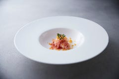 SCALAE(スカーラエ)