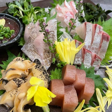 市場直送鮮魚&おでん『木更津 海坊主』厳選日本酒&飲み放題_本日の新鮮刺し盛り