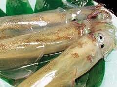 活食・隠れ酒蔵かけはし 北二条店 