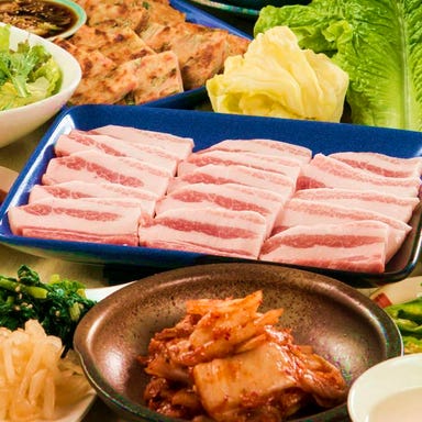 サムギョプサル食べ放題 漢拏 －ハンナ－ 府中店 メニューの画像