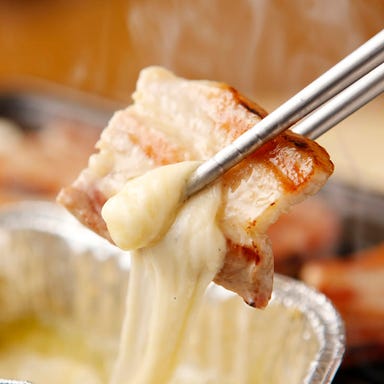 サムギョプサル食べ放題 漢拏 －ハンナ－ 府中店 コースの画像
