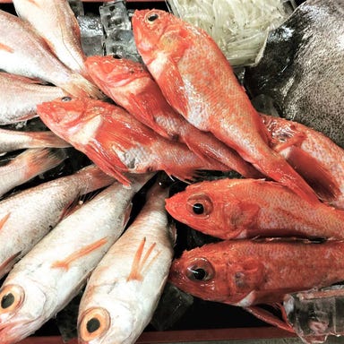 魚や ‐TOTOYA‐ 池袋店 こだわりの画像