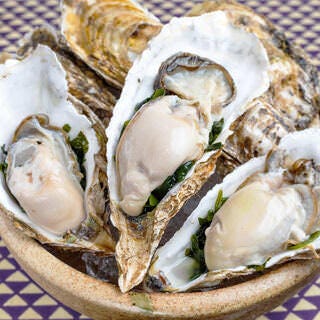 京橋おばんざい 醸_本日のぷりぷりの牡蠣