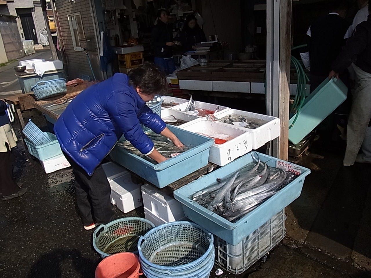 北海道・青森、佐島漁港直送鮮魚！