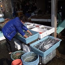 北海道・青森、佐島漁港直送鮮魚！