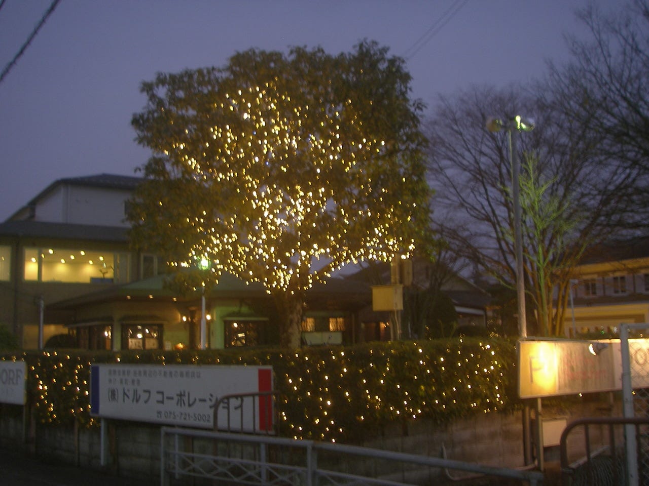 コーヒー レストラン ドルフ