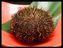 ◆季節の料理◆その時の旬の美味しい食材を存分に楽しめます。（要確認）