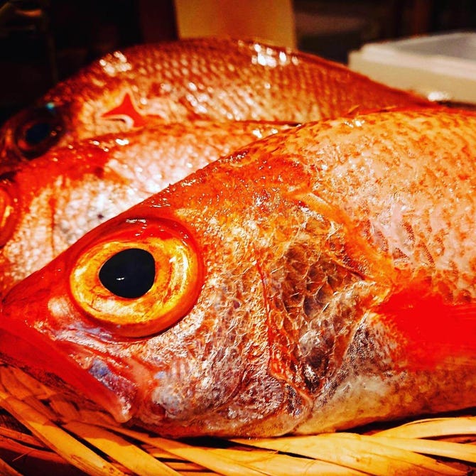 マグロを使わない白身魚専門店 魚unloc 船橋 西船橋 魚料理 ぐるなび