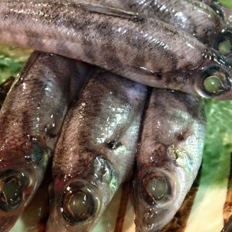 厳選 水戸のあんこう鍋 牡蠣など魚料理の店まとめ15選