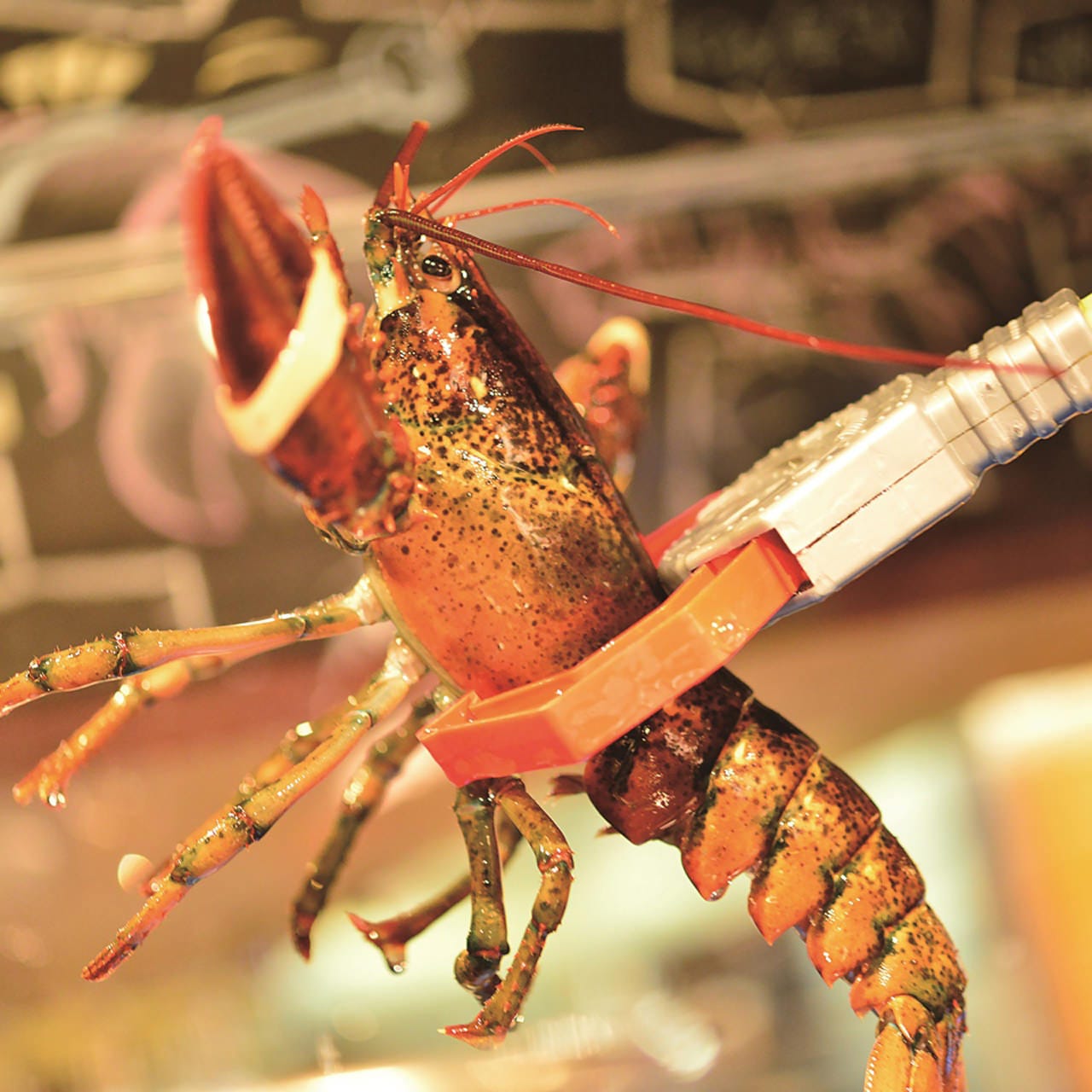 Shrimp Shrimp シュリンプシュリンプ 裏なんばpart2 写真 1ページ目 1件 40件 ぐるなび