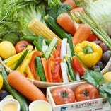 地元契約農家の新鮮野菜【兵庫県】