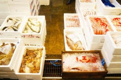 とんこや 宗像店