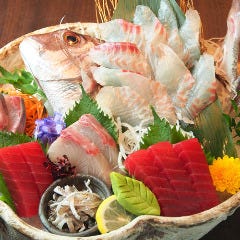 産地直送の美味しさを「本日のおすすめ」としてご用意しています