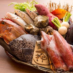 産地直送の美味しさを「本日のおすすめ」としてご用意しています