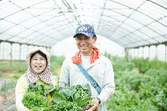 ～健康な野菜栽培～ 神戸市西区 池上農園