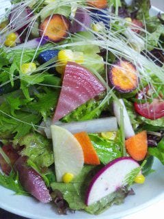 20種類の鎌倉野菜サラダ