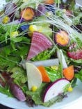 ２０種類の鎌倉野菜サラダ