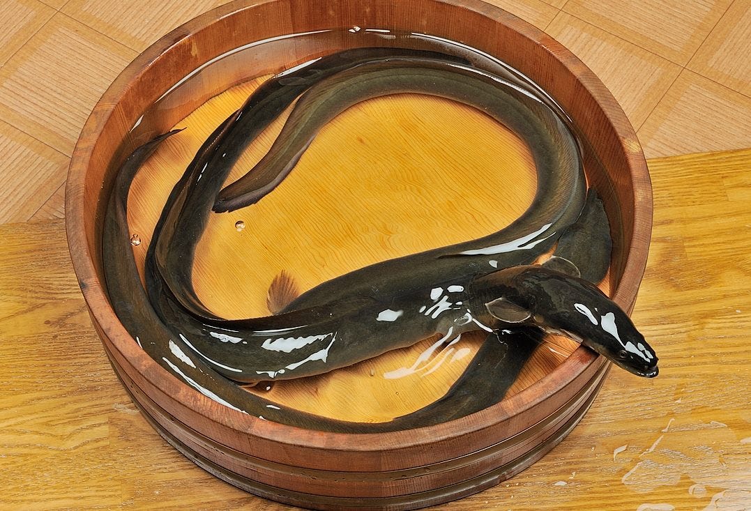 21年 最新グルメ うなぎ魚政 亀有 青砥 レストラン カフェ 居酒屋のネット予約 東京版