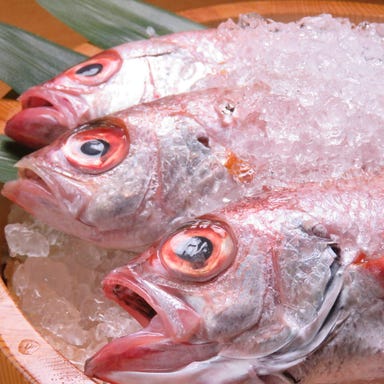 金沢おでんと地酒・地魚 あなば 片町店_金沢港から直送される日本海の魚介をその場で捌いて提供!