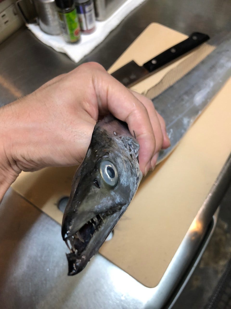 Lotus 自慢の食材 千葉県産 太刀魚 ぐるなび Lotus 自慢の食材 千葉県産 太刀魚 ぐるなび