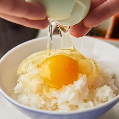 まずは卵かけご飯 濃厚でクリーミーな味わいをお楽しみください