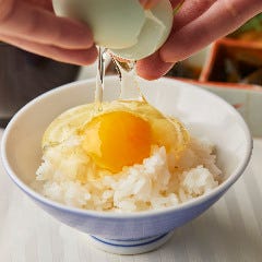 限られたお店でのみ味わうことができる東北牧場の平飼い有精卵「青玉」の卵かけご飯。
