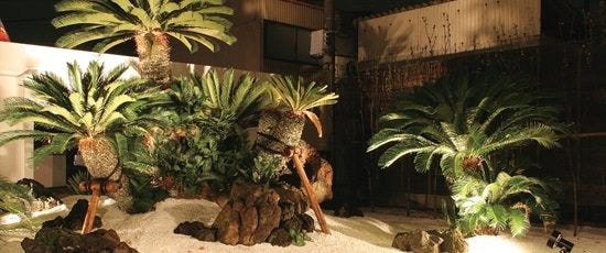 美ら島の葉菜 金沢 居酒屋 ぐるなび