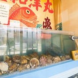 “店内”
生簀で管理している貝類はぷりっとジューシーです！