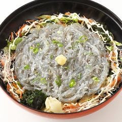 しらす問屋 とびっちょ Terrace Mall湘南店