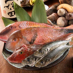 豊洲市場より目利きで仕入れる新鮮魚介はお刺身でどうぞ
