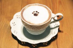 Cat Cafe てまりのおうち