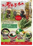 【過去に特集した食材】南方町 永浦さんちの「ほうれん草」