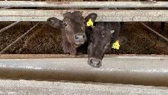 ドクターミート 和牛博士のビストロ 入谷本店 