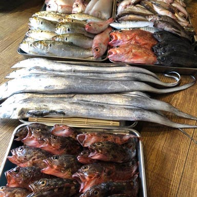 旬魚彩鮨 水仙_漁師直送鮮魚のにぎり