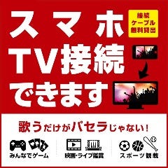 パセラは全部屋スマホ・PC・BR/DVD接続OK！接続サポート付き♪