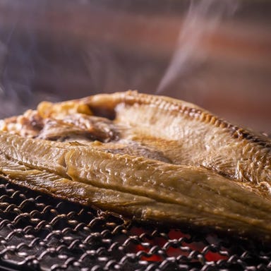 扉付き完全個室 3時間飲み放題 旬魚と串焼き 海炎 飯田橋店_【3H生付飲放】本日の鮮魚炭火焼×お造り5点や炭火焼串に黒豚餃子含『梅』全10品5910円⇒5000円