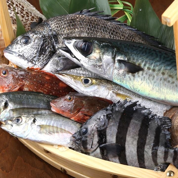 小田原地魚の鮮度抜群な鮮魚